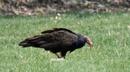 DSC_0825.jpg