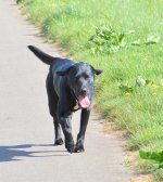 DSC_0182_zpsjkyhzgxf.jpg