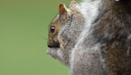 DSC_0726.jpg