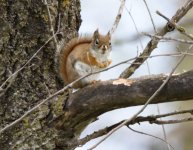 DSC_0755.jpg