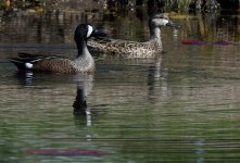 DSC_1046.jpg