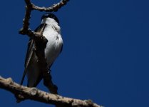DSC_1053.jpg