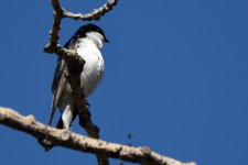 DSC_1056.jpg