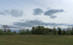 _DSC5403.jpg