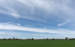 _DSC5434.jpg