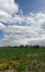 _DSC5377.jpg