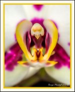 DSC_8195_Web.jpg