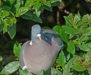 DSC_9317.jpg