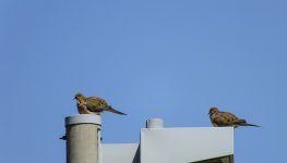 untitled shoot-0733.jpg