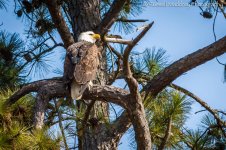 DSC_0093.jpg