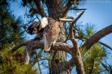 DSC_0099-2.jpg