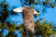DSC_0134-2.jpg