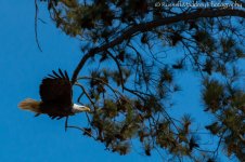 DSC_0141.jpg