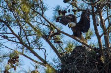 DSC_0159.jpg
