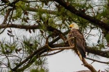 DSC_0216.jpg