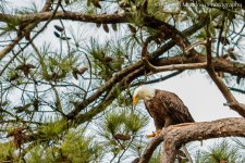 DSC_0297.jpg