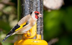 DSC_8868.jpg