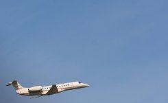 DSC_5596.jpg