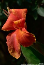 FSC_9846.jpg