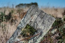 untitled-1-103.jpg