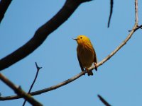 DSCN9511.jpg