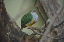 DSC_2013.jpg