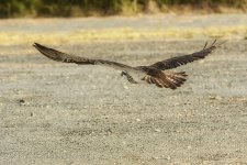 15B_1817_webshot.jpg