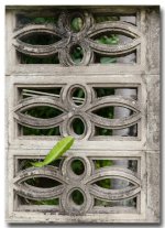 photowalk-with-daughter-1 (16).jpg