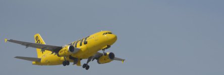 DSC_5784.jpg