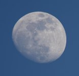 TSP_5971_DxO.jpg