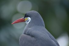 DSC_2029.jpg
