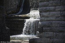 _DSC9284.jpg