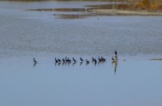 untitled shoot-0679.jpg
