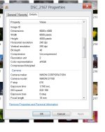 137mb.jpg