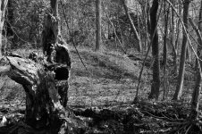 untitled shoot-0076.jpg