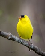 P5010024-2.jpg