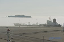 Fog.jpg