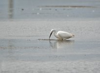 DSC_9612.jpg