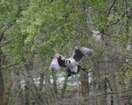 DSC_0296.jpg