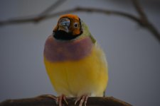 DSC_2033.jpg