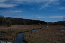 _DSC9366.jpg