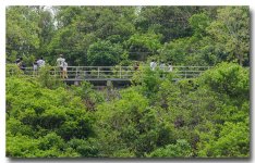 on-the-bridge.jpg