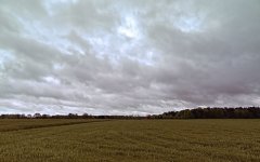 _DSC6462.jpg