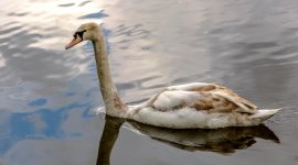 DSC_2235.jpg