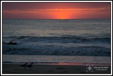 Rehoboth_Sunrise_01.jpg