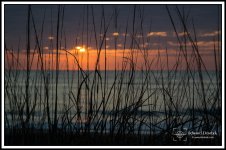 Rehoboth_Sunrise_05.jpg