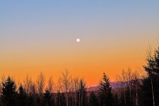 Evening colours.jpg