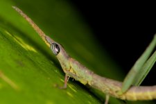 DSC_9746.jpg