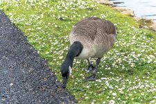 DSC_2320.jpg