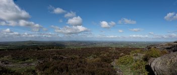 Cheshire-Plain-Large.jpg